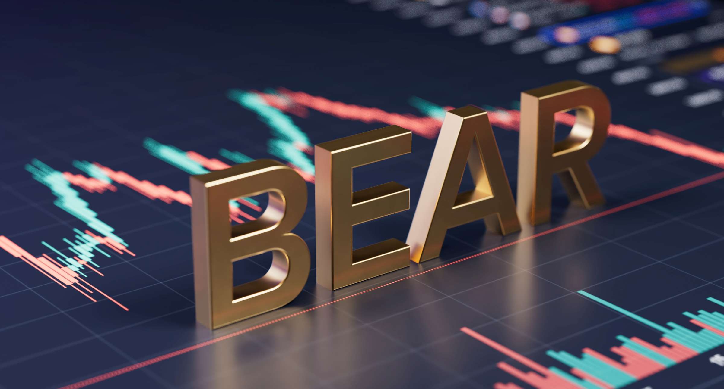 Anatomy of a Bear Market