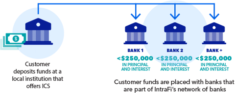 ICS Bank Deposit Funds infograph