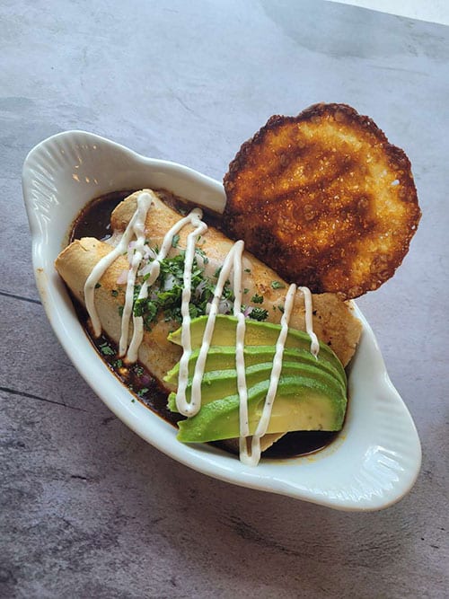 Birria enchiladas