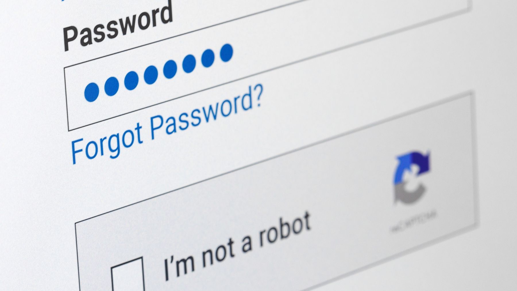 Site page, password text on this page, password field